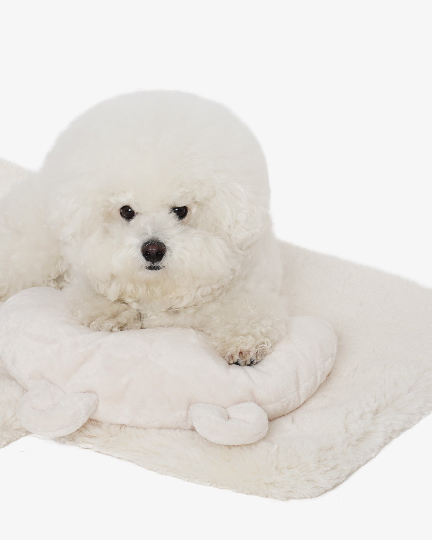 [SO-CV109] SSOOOK Eco Rabbit Fur Inner Blanket