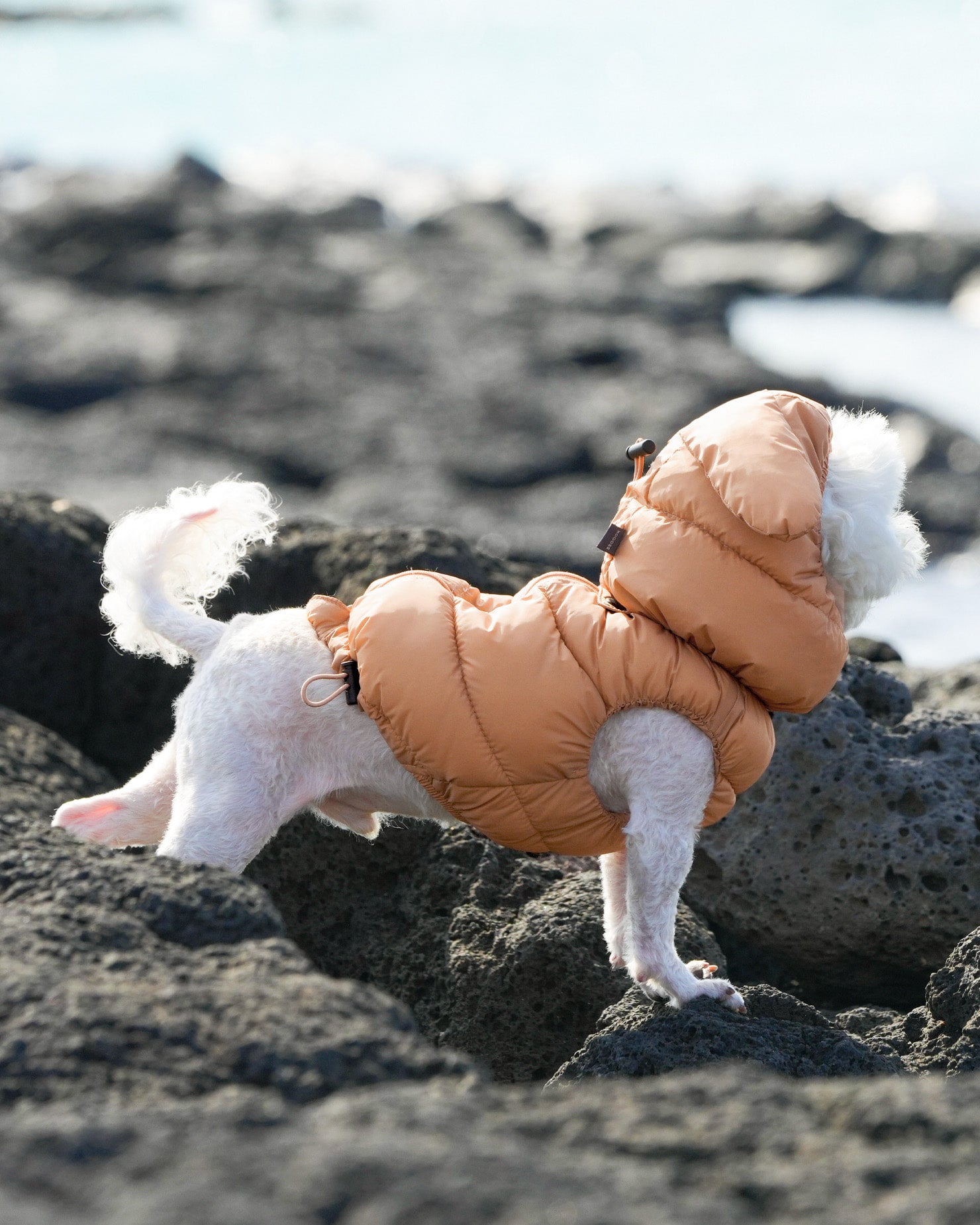 [SO-OW670] SSOOOK Goosefeel Padded Vest 3 (S ~ 7XL)