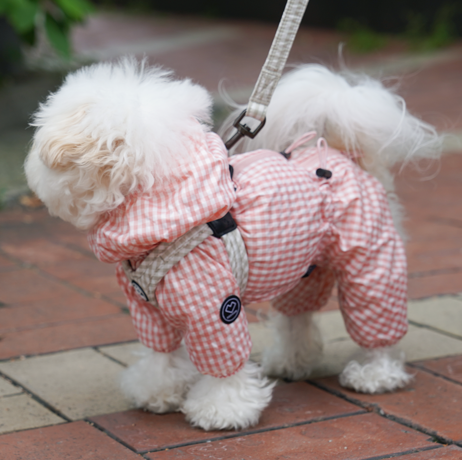 [SO-DL007] SSOOOK Check Leash