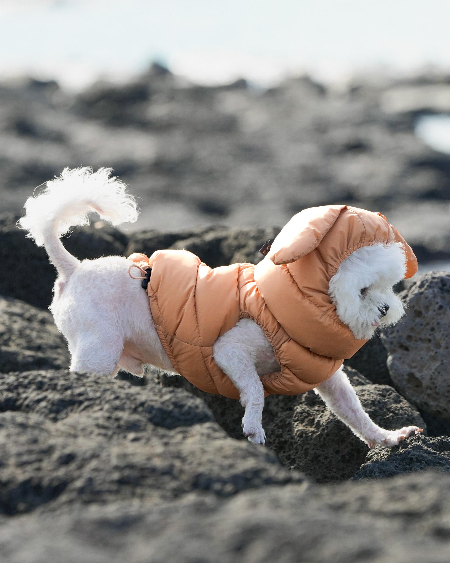 [SO-OW670] SSOOOK Goosefeel Padded Vest 3 (S ~ 7XL)