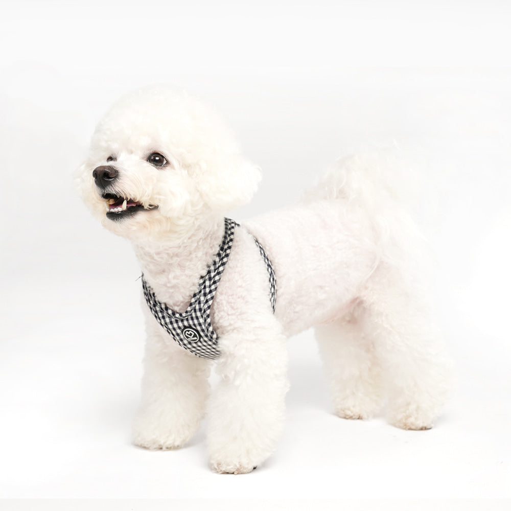 [SO-HA013] SSOOOK Check Harness (Buckle Type)