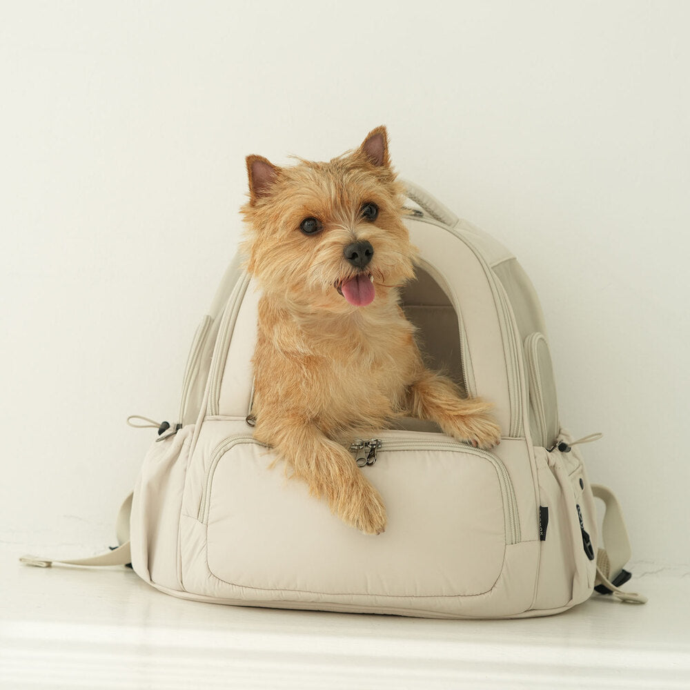 SO-CA419] SSOOOK Mesh Front Bag (V. Double Window)