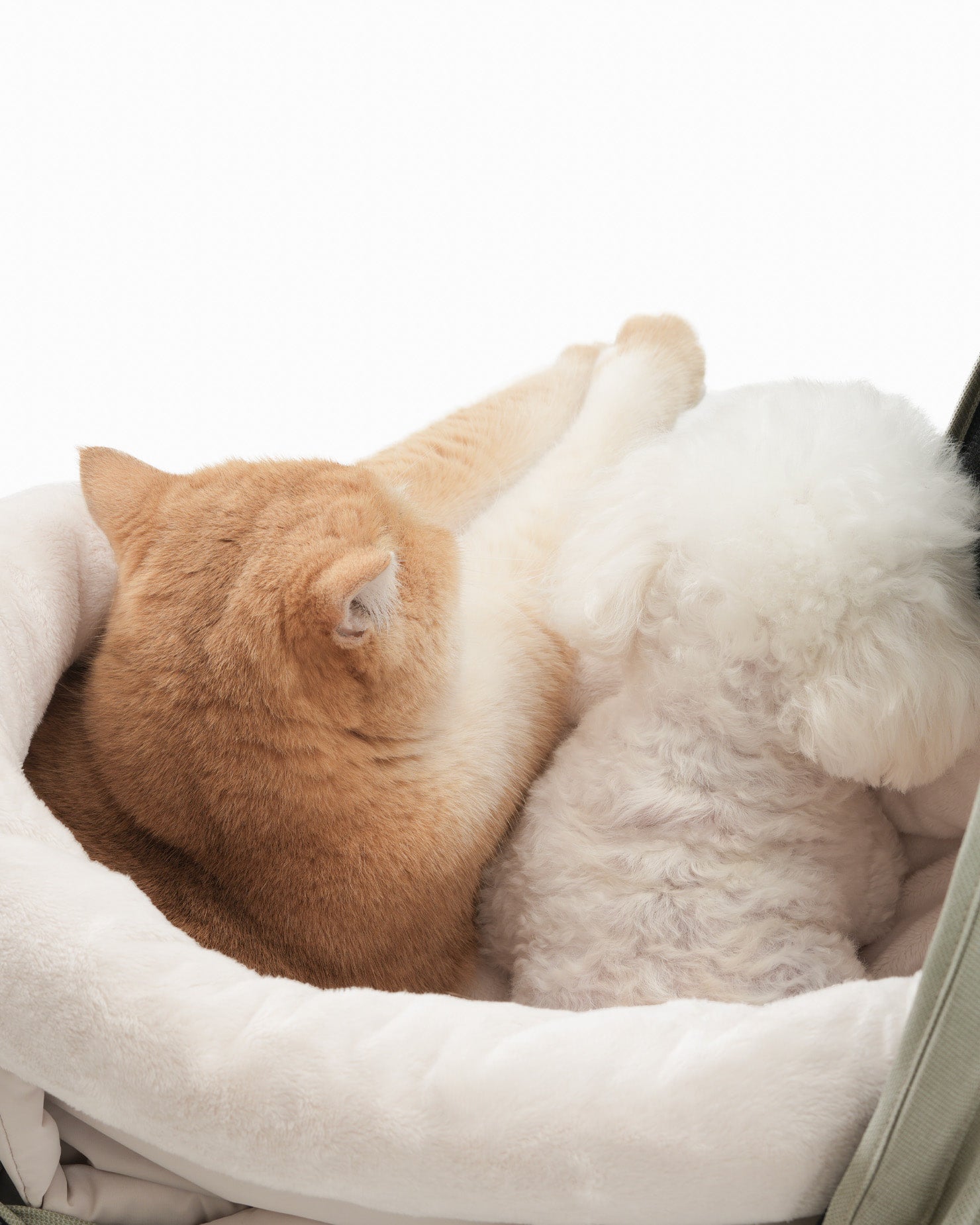 [SO-CA011] SSOOOK Sleeping Cushion &amp; Stroller Bags