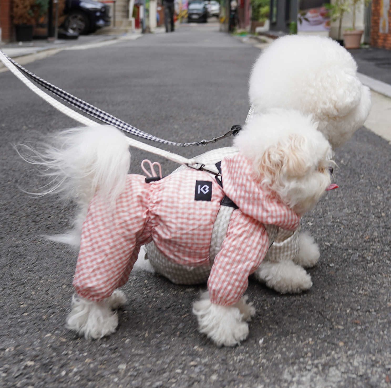 [SO-DL007] SSOOOK Check Leash