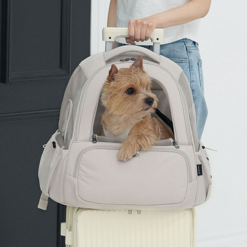 SO-CA419] SSOOOK Mesh Front Bag (V. Double Window)