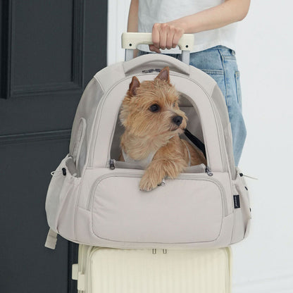 [SO-CA419] SSOOOK Mesh Front Bag (V. Doubleside Window)