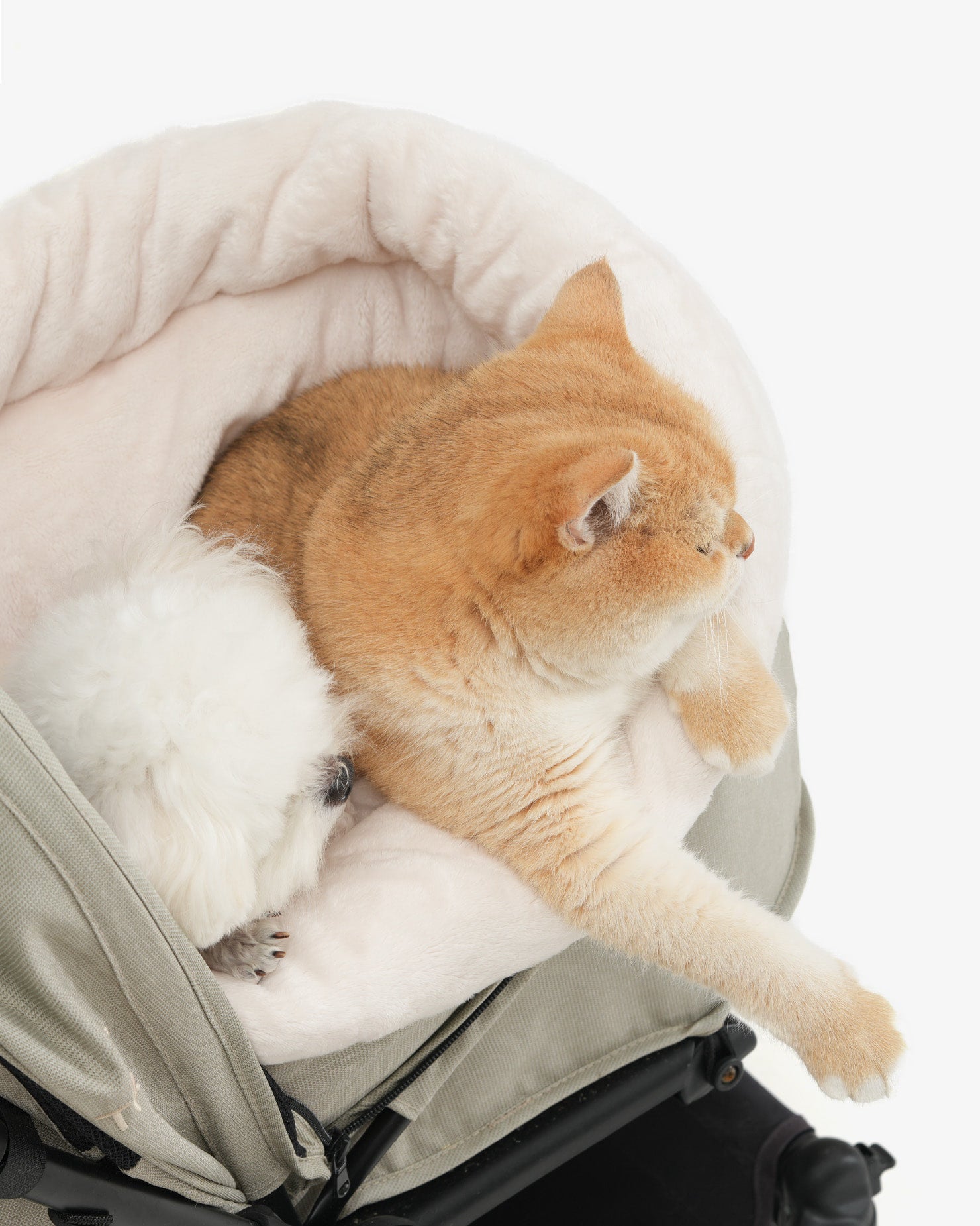 [SO-CA011] SSOOOK Sleeping Cushion &amp; Stroller Bags