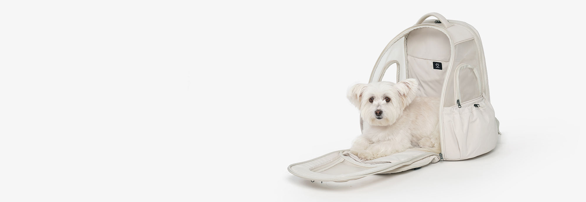25日まで値下げします！SSOOOK バッグパックMサイズ BACK PACK – SSOOOK Japan