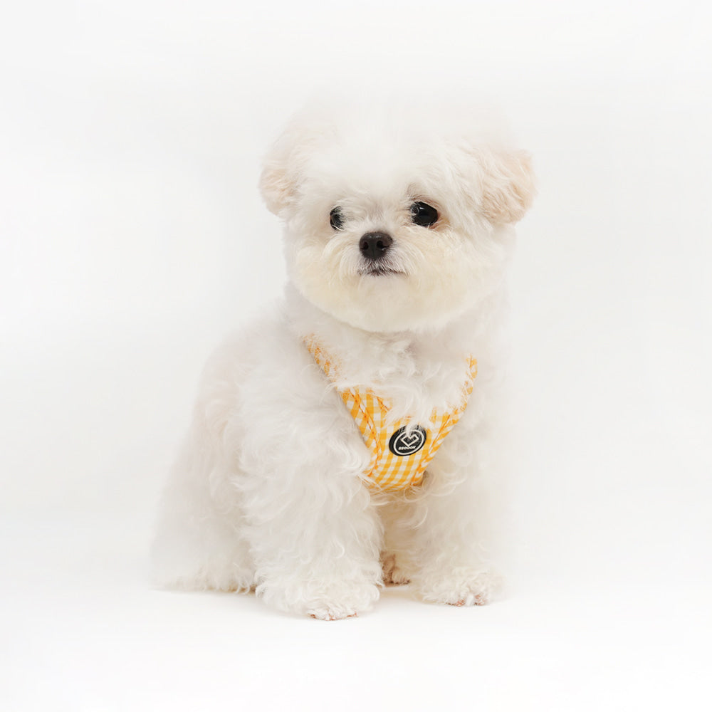 [SO-HA013] SSOOOK Check Harness (Buckle Type)