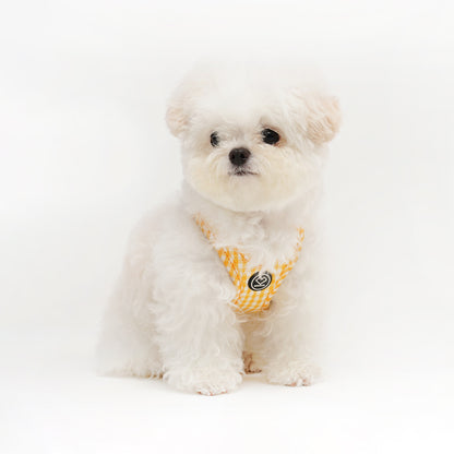 [SO-HA013] SSOOOK Check Harness (Buckle Type)