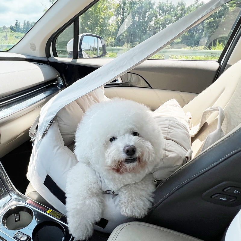 [SO-AC002] SSOOOK Carseats Sunvisor