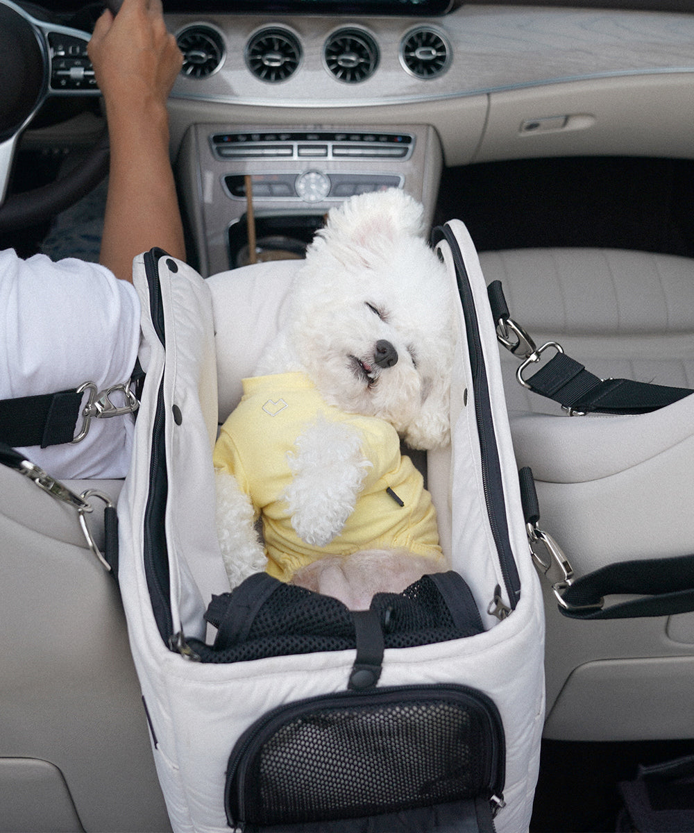 SSOOOKベッド SSOOOK ☆ SOFA BED Lサイズ (SSOOOK/ペットベッド・クッション