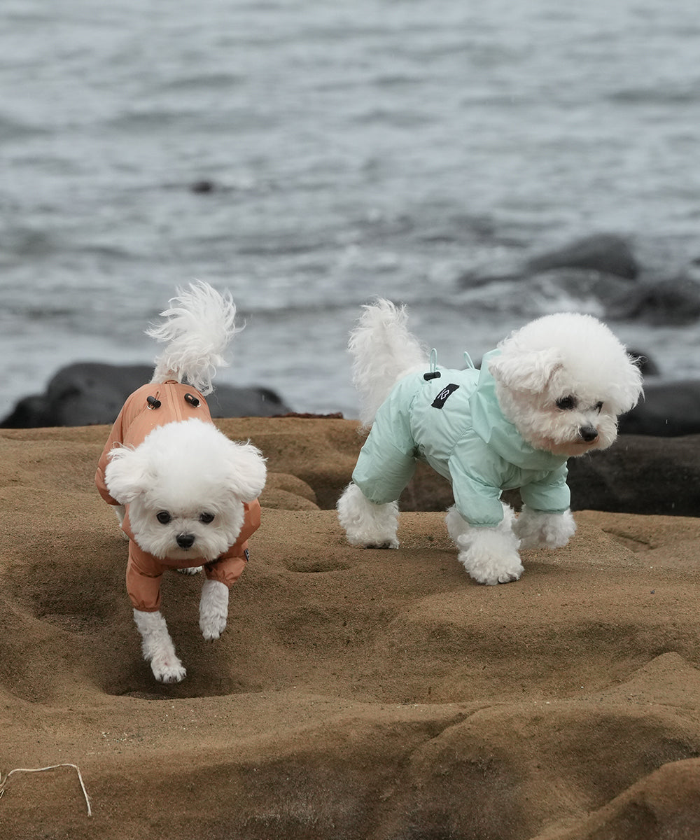 SSOOOK USA, Canada, UK and EU