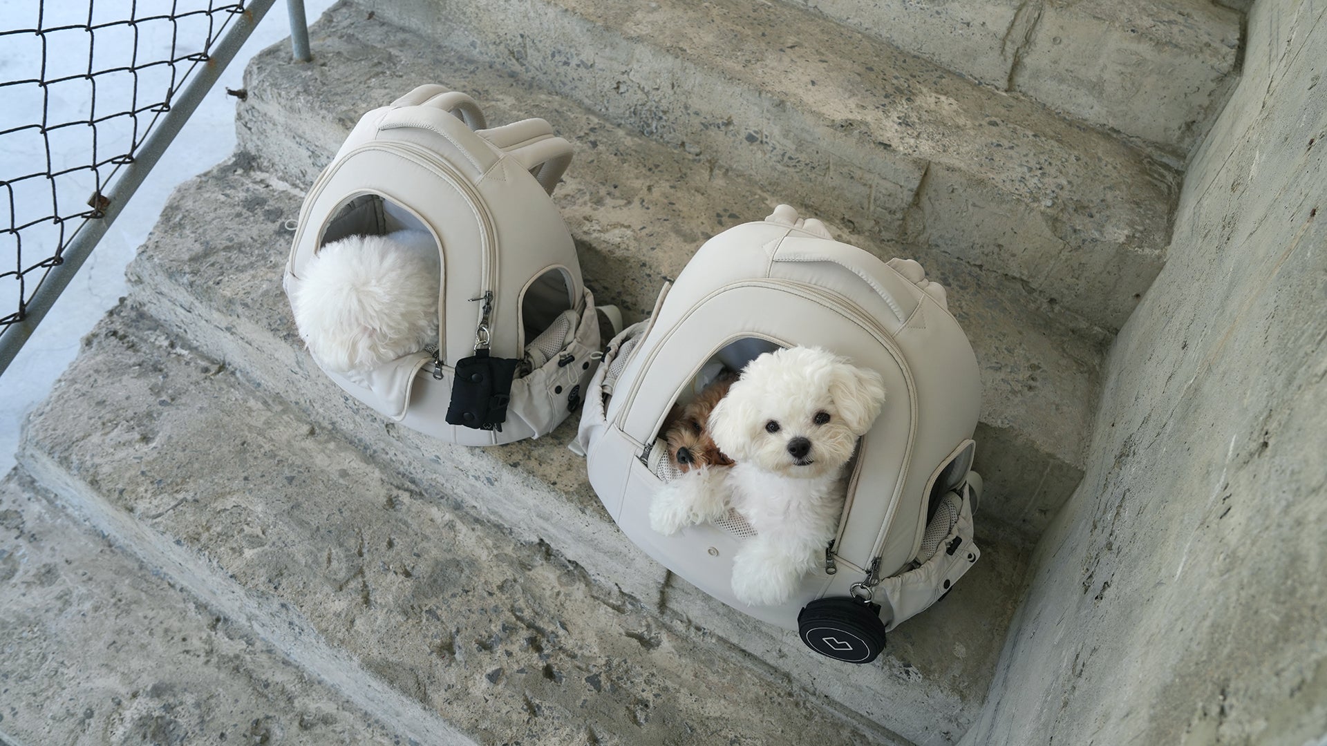 SSOOOK USA, Canada, UK and EU