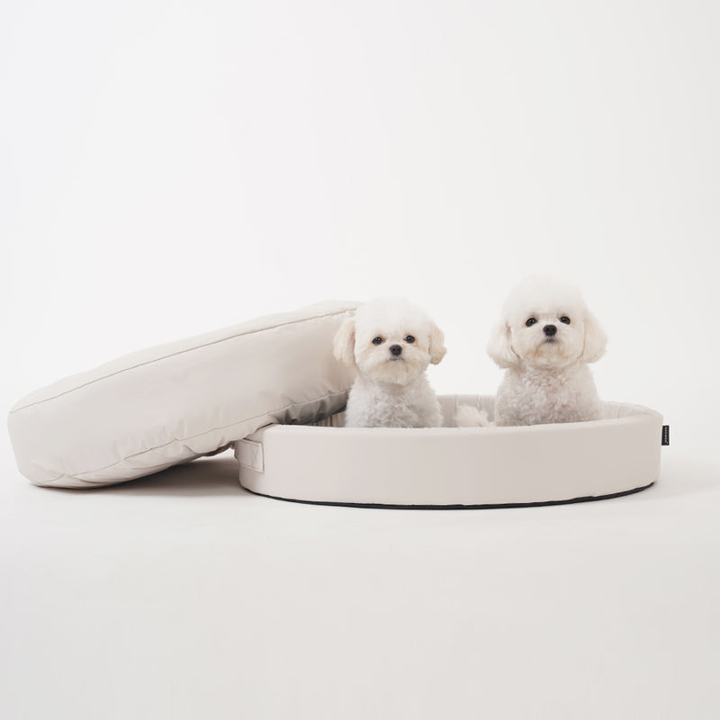 [SO-BF101] SSOOOK BED Frame Only (V.2,Circle,Low)