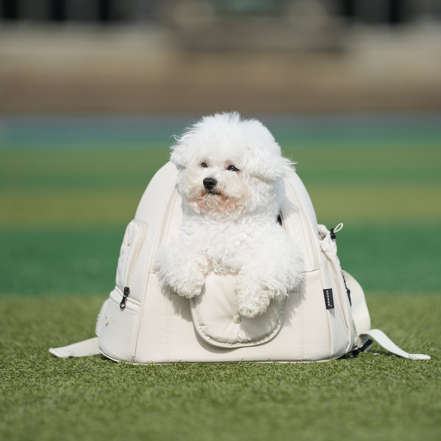 SSOOOK Front Bag [SO-CA411]