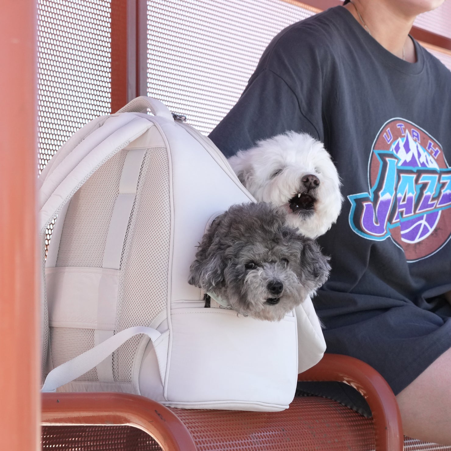 SO-CA411] SSOOOK Front Bag Carseat™ (V.Single Window)