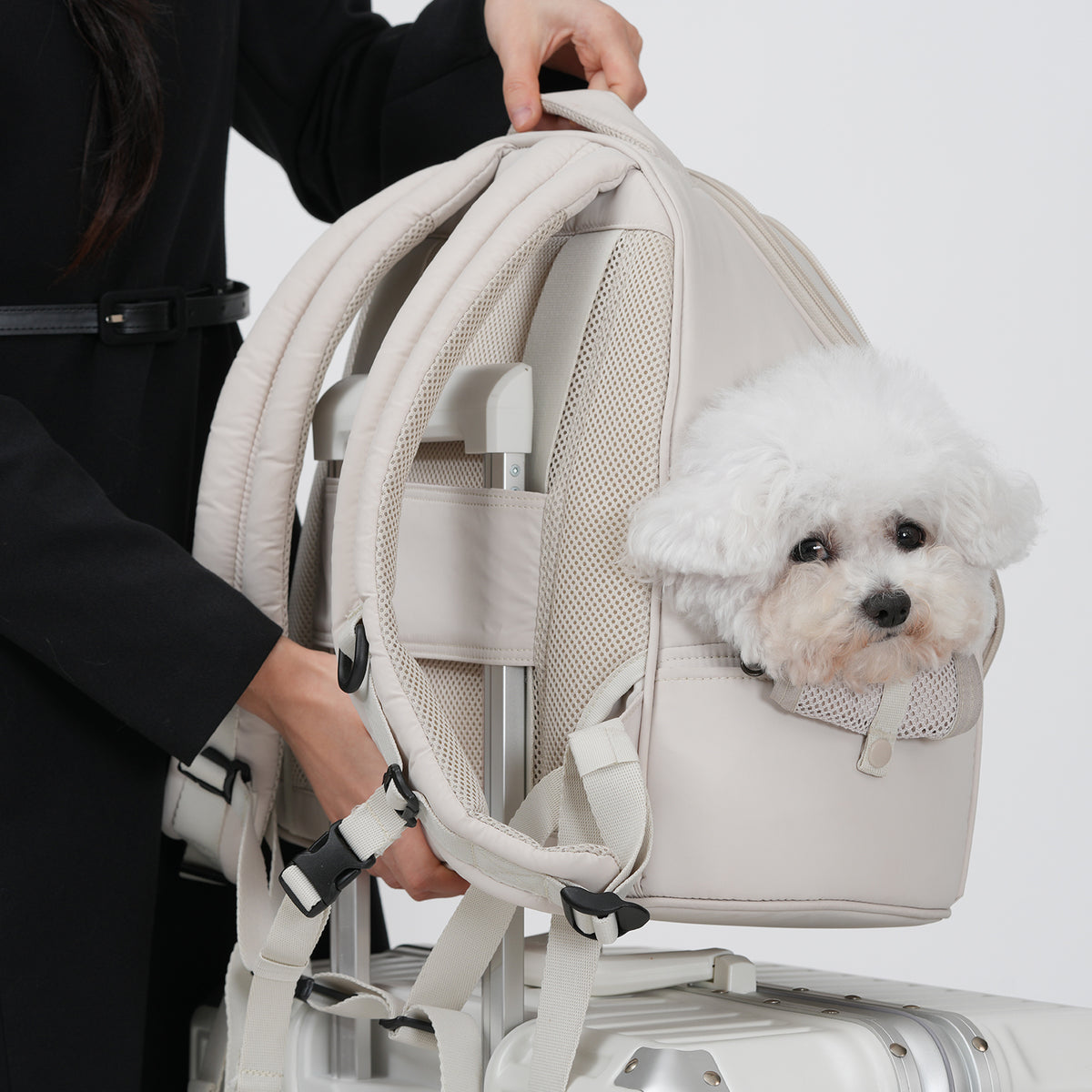 [SO-CA411] SSOOOK Front Bag Carseat™ (V.Single Window)