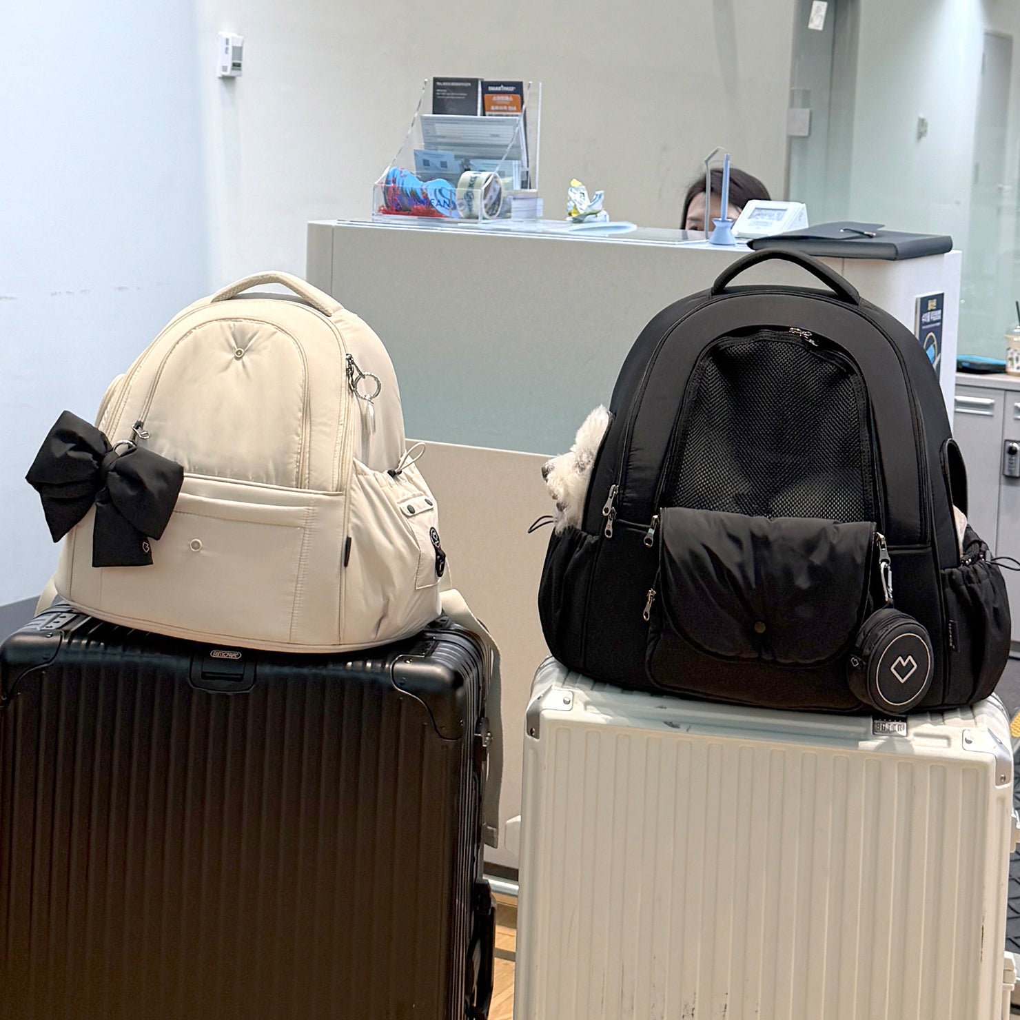 [SO-CA413] SSOOOK DOUBLE WINDOW FRONT BAG