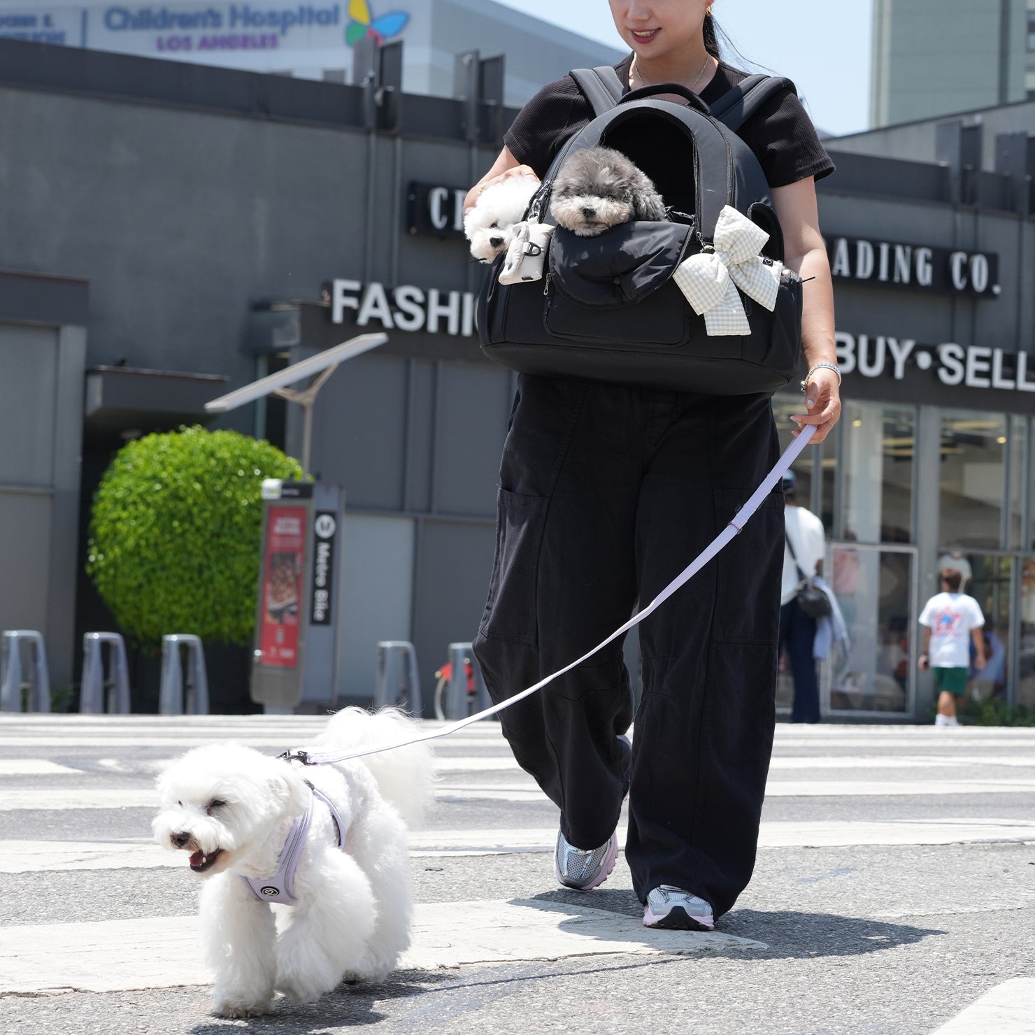 [SO-CA413] SSOOOK DOUBLE WINDOW FRONT BAG