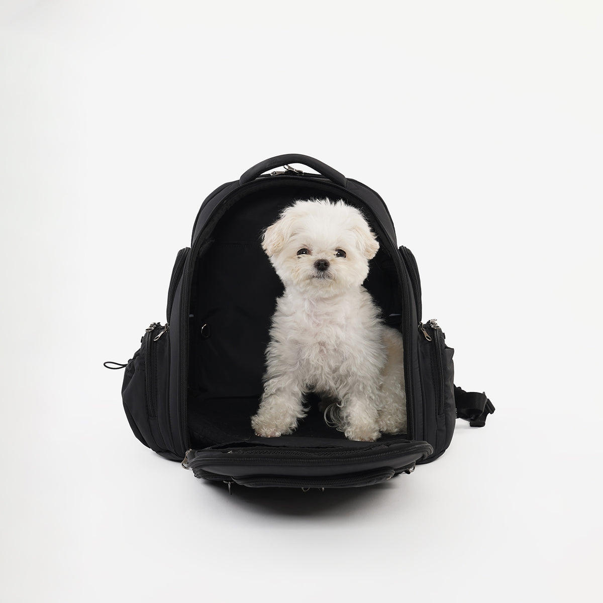 [SO-CA431] SSOOOK Backpack Carseat