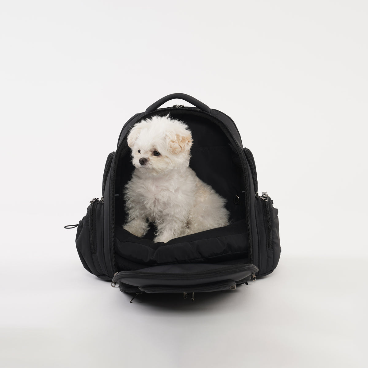 [SO-CA431] SSOOOK Backpack Carseat