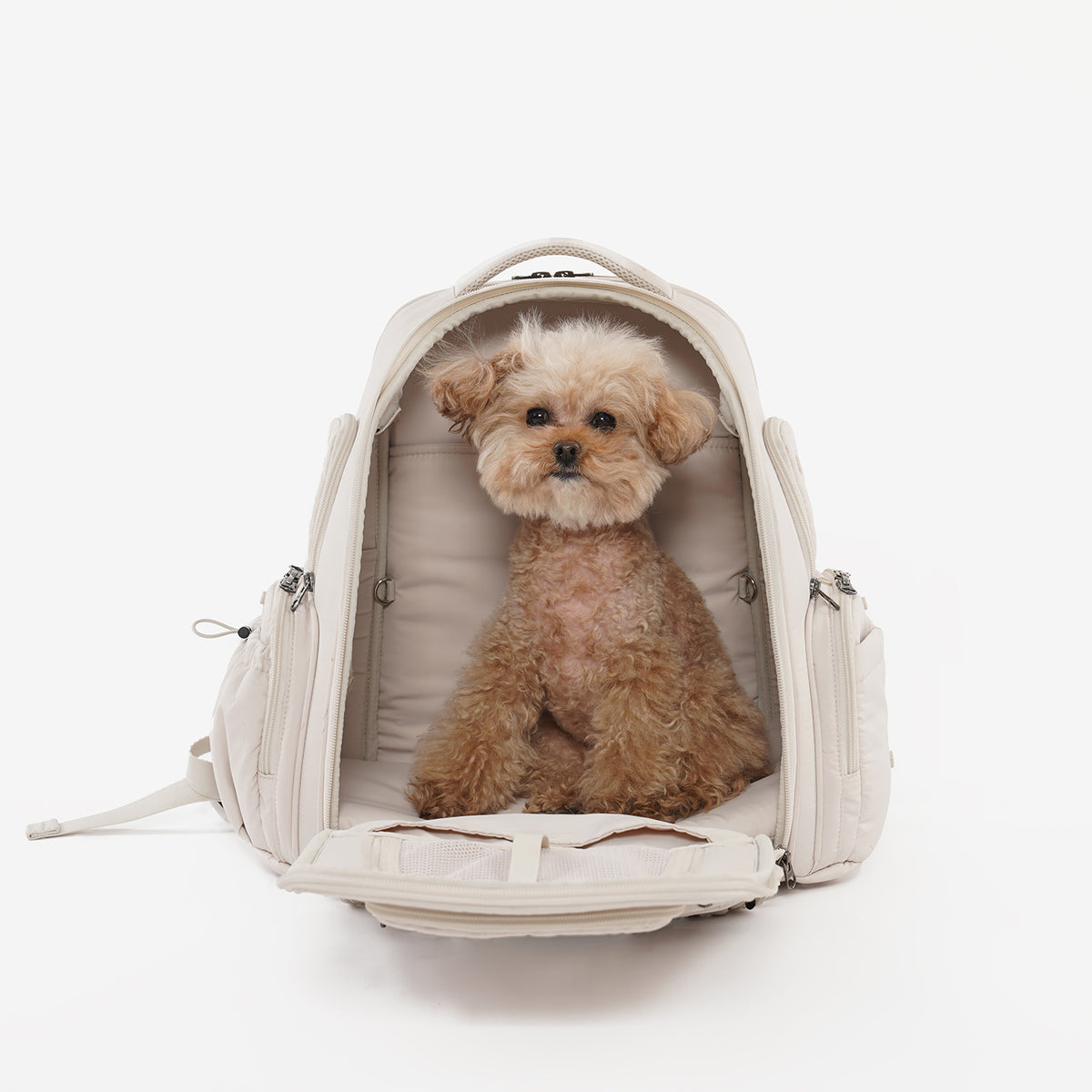 [SO-CA431] SSOOOK Backpack Carseat