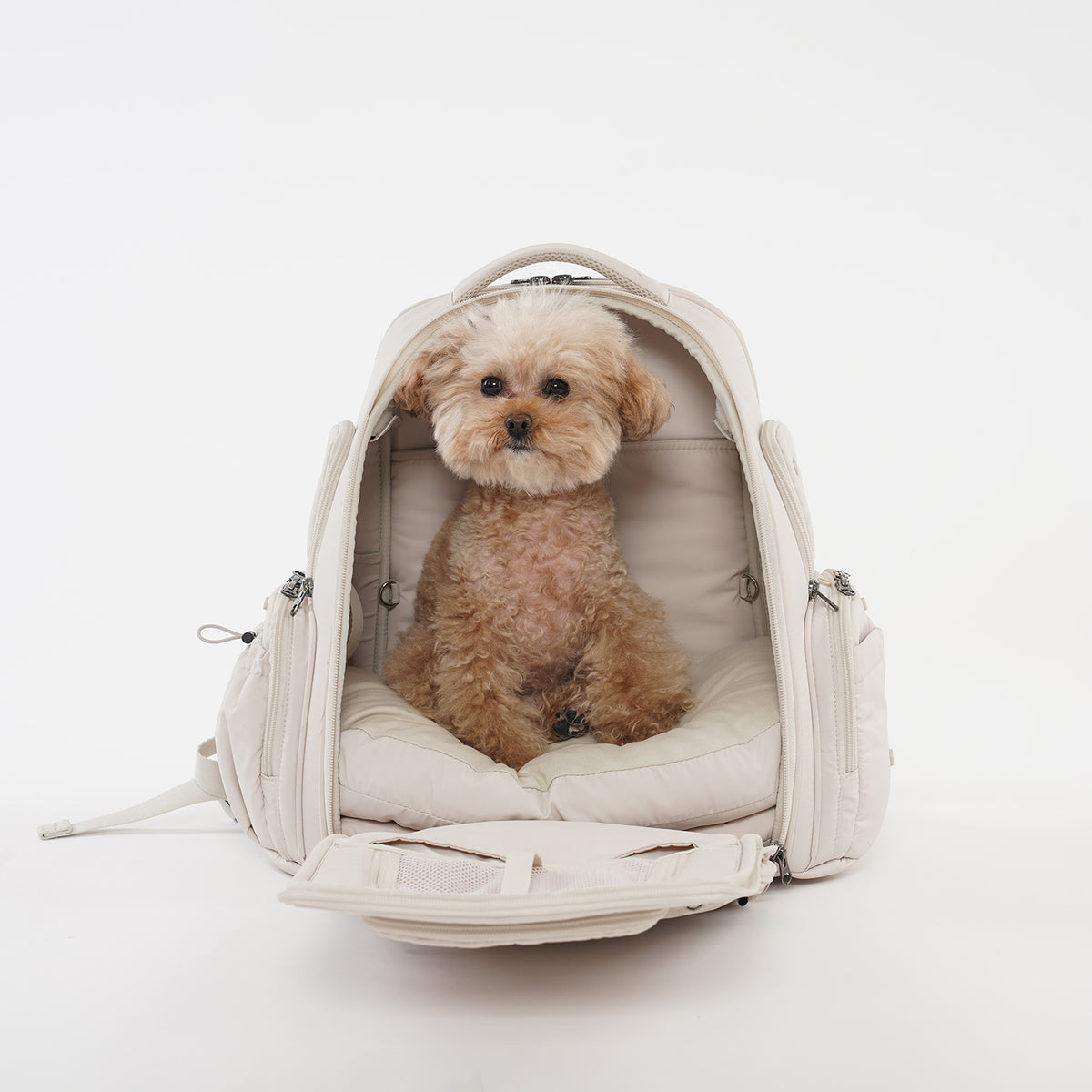 [SO-CA431] SSOOOK Backpack Carseat