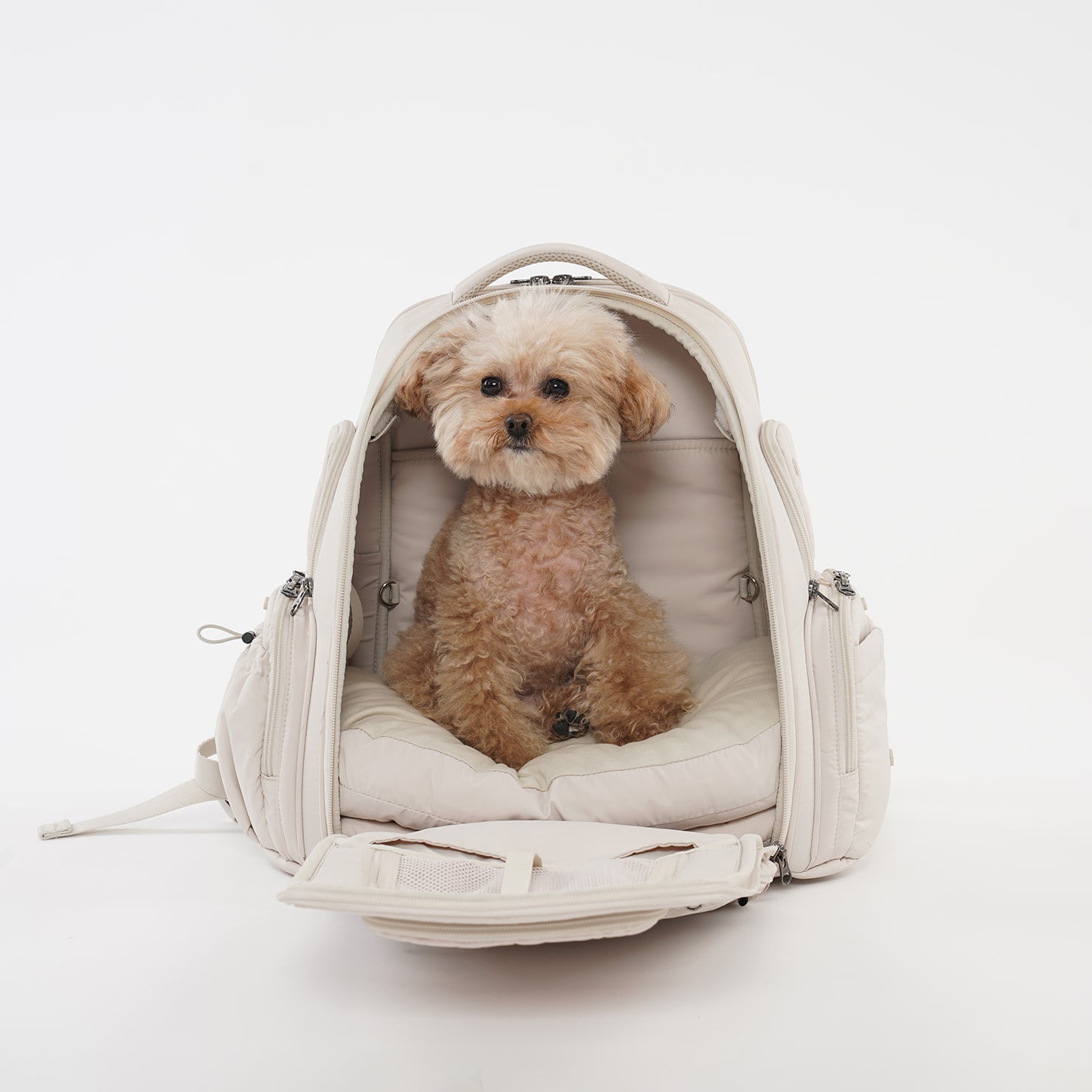 SSOOOK BACK PACK [SO-CA431]