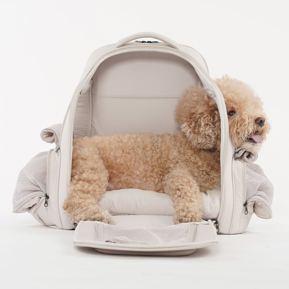 [SO-CA431] SSOOOK Backpack Carseat