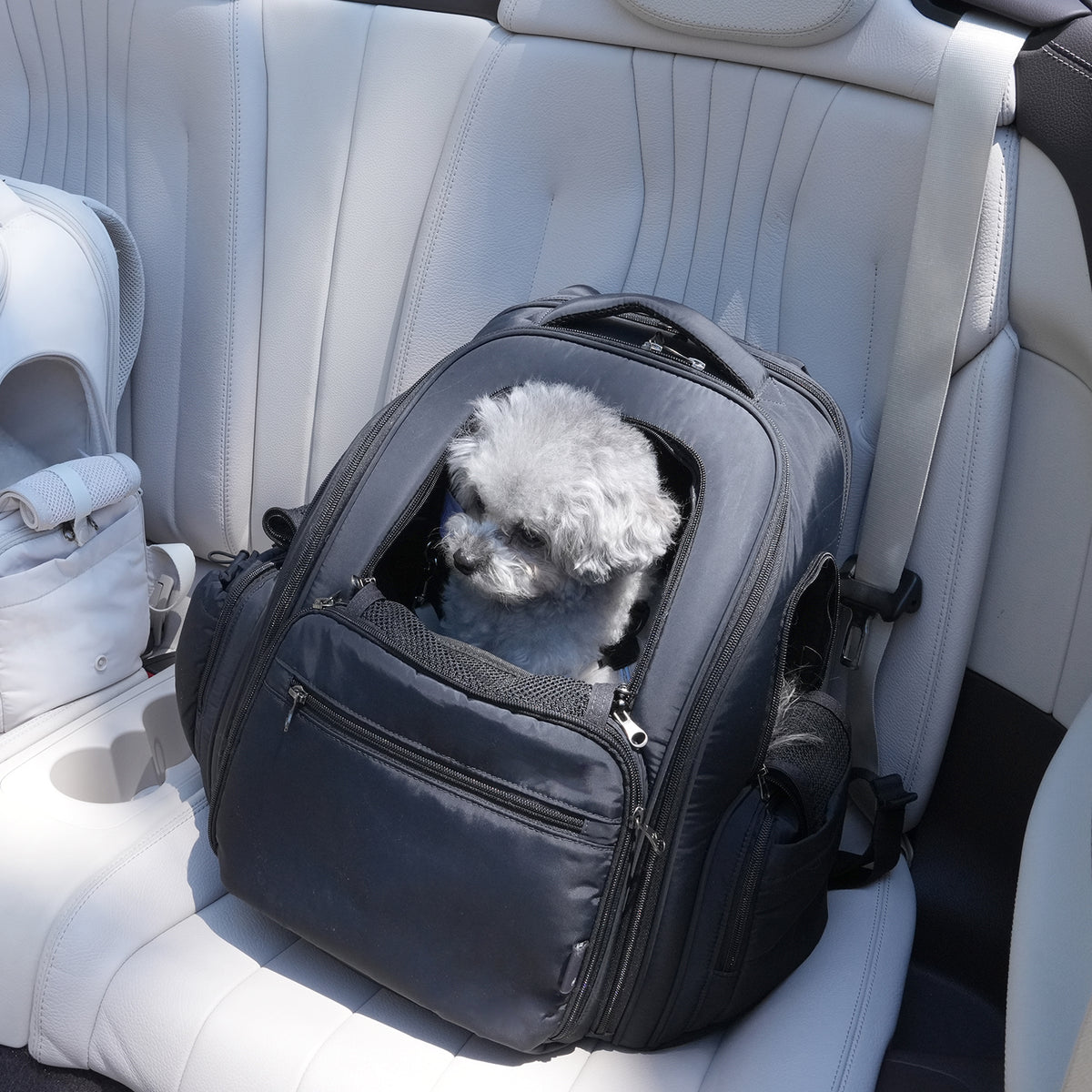 [SO-CA431] SSOOOK Backpack Carseat