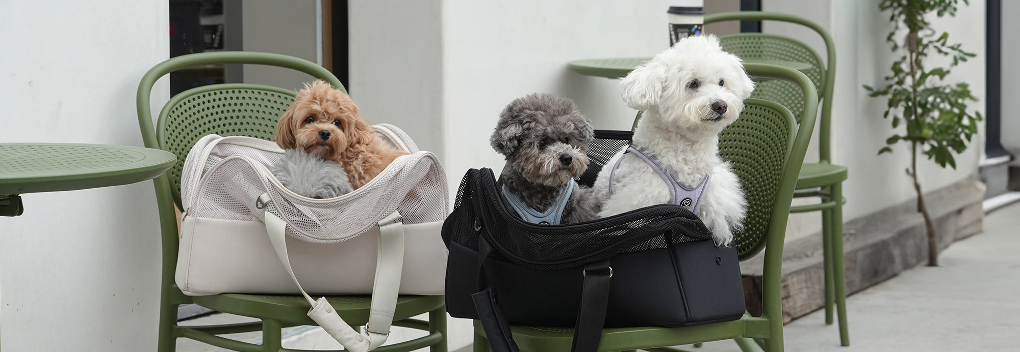 Small Dog Carrier Bags, Travel Carriers & Console Car Seats | SSOOOK