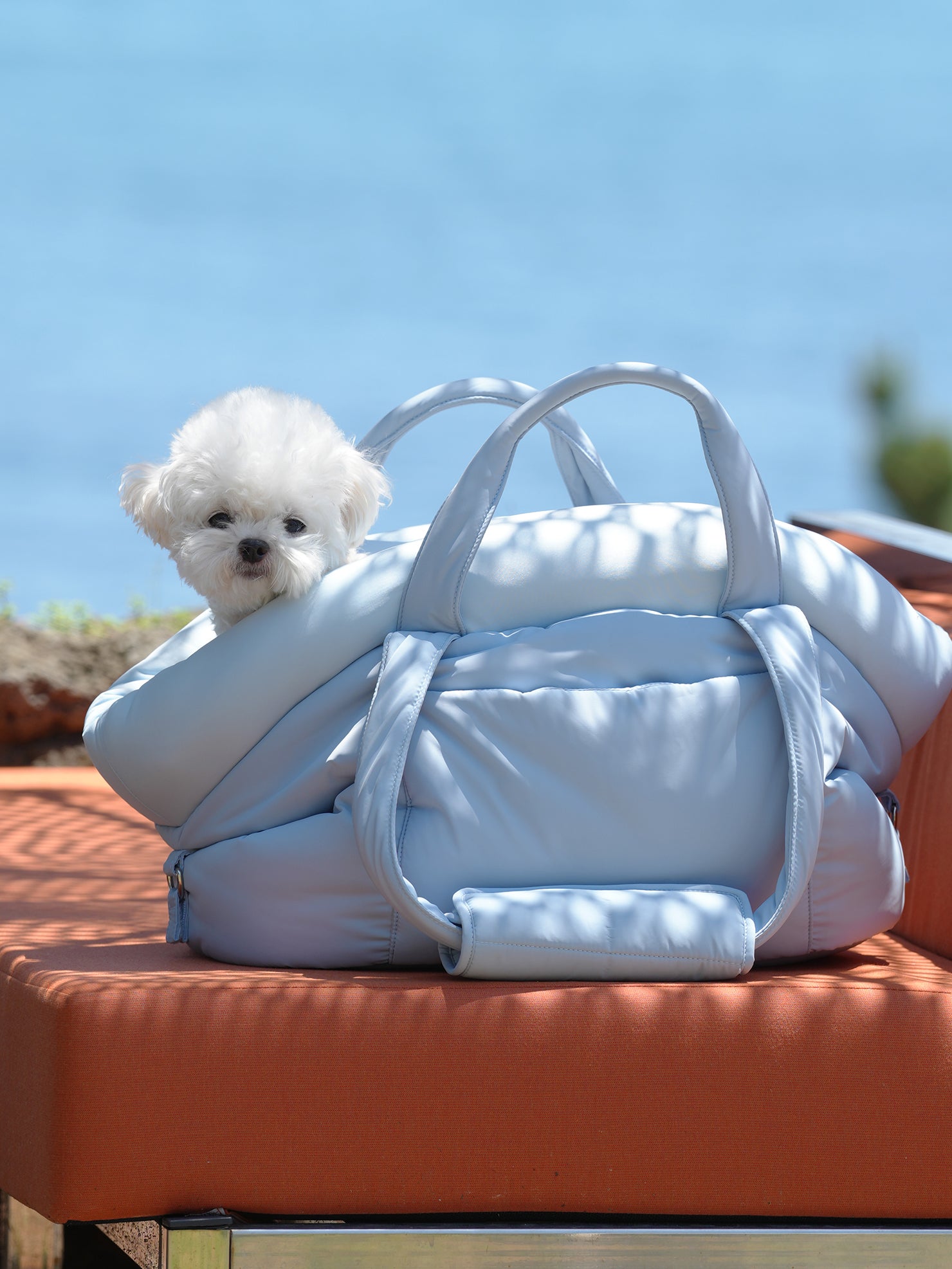 SSOOOK Bags