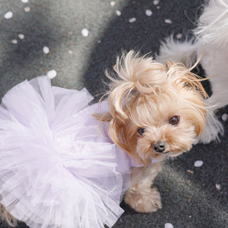 [DR157] Original Tutu Dress S ~ L