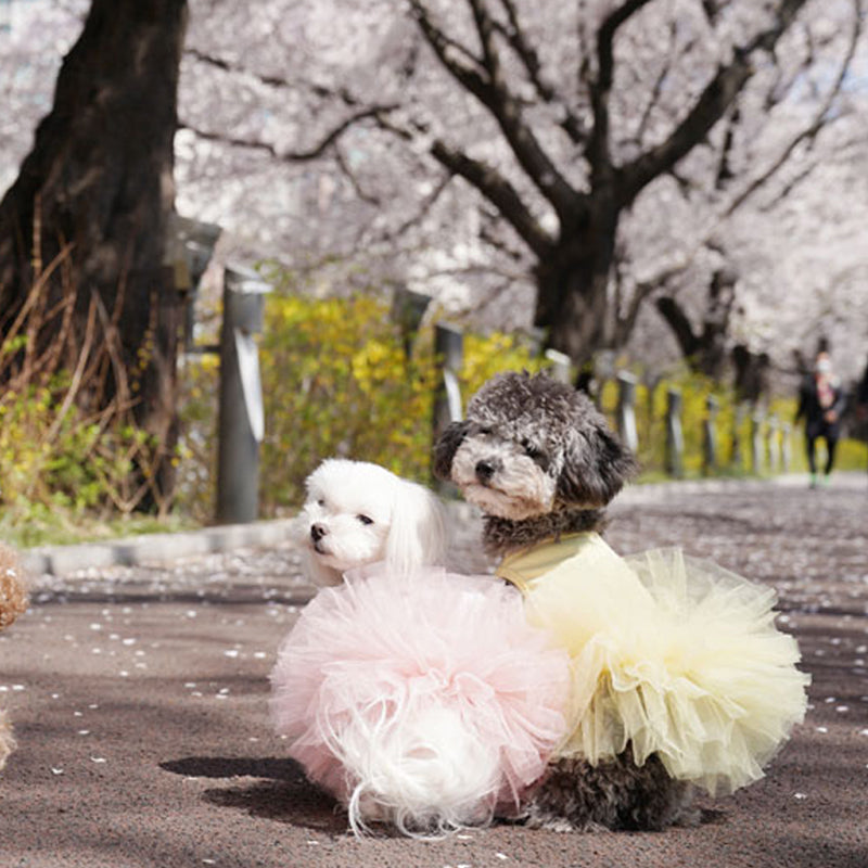 [DR157] Original Tutu Dress S ~ L