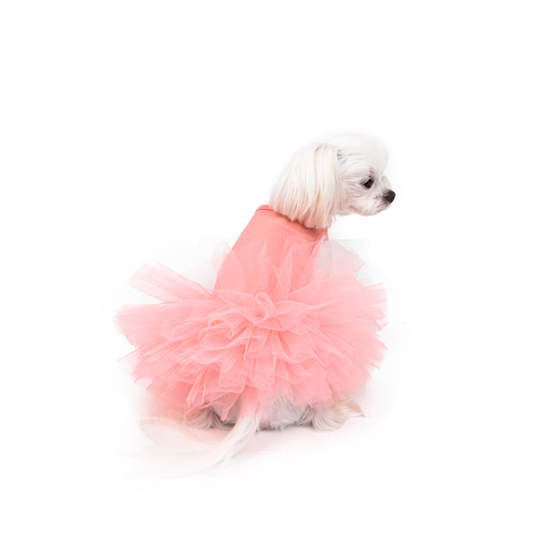 [DR157] Original Tutu Dress S ~ L