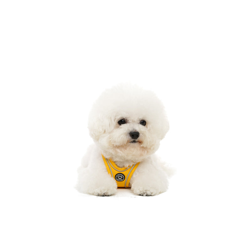 [SO-HA003] SSOOOK Harness (Buckle Type)