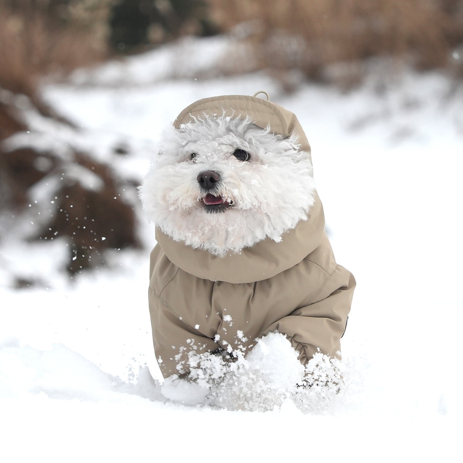 [SO-OW433] SSOOOK Identity Snow Coverall (Half Cover, For Unisex)