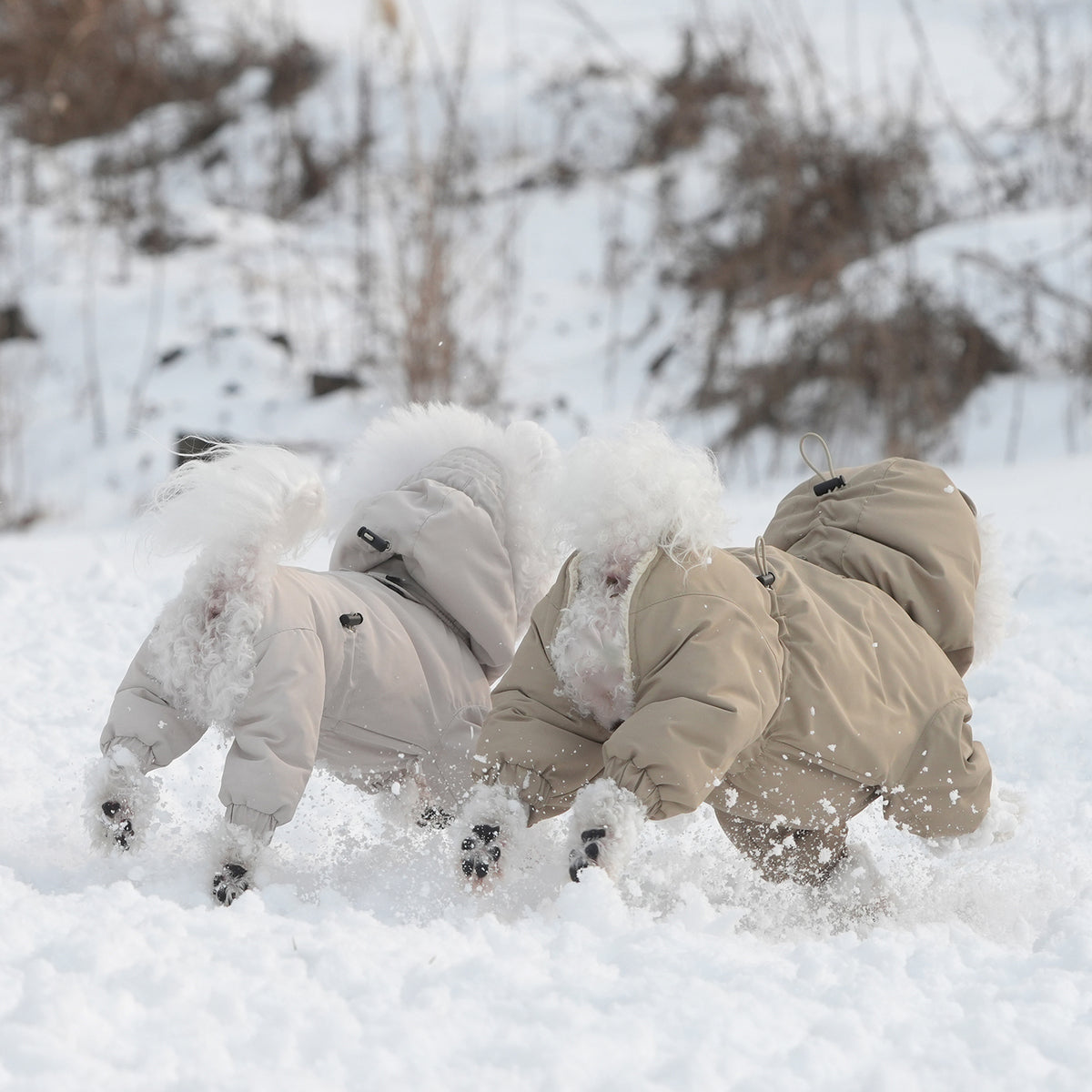 [SO-OW433] SSOOOK Identity Snow Coverall (Half Cover, For Unisex)
