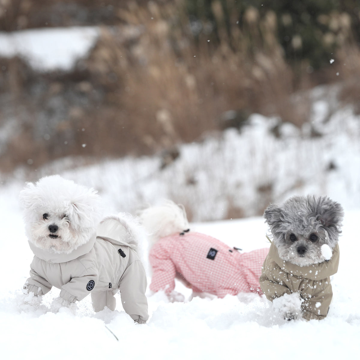 [SO-OW433] SSOOOK Identity Snow Coverall (Half Cover, For Unisex)