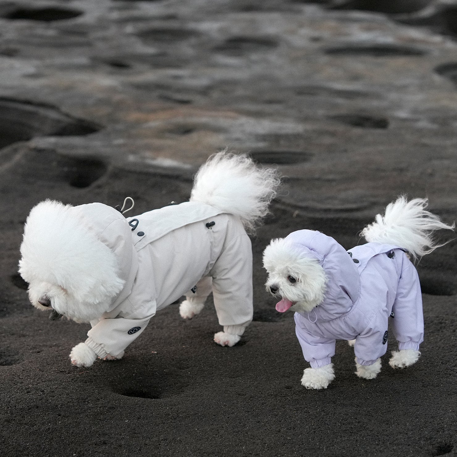 [SO-OW433] SSOOOK Identity Snow Coverall (Half Cover, For Unisex)