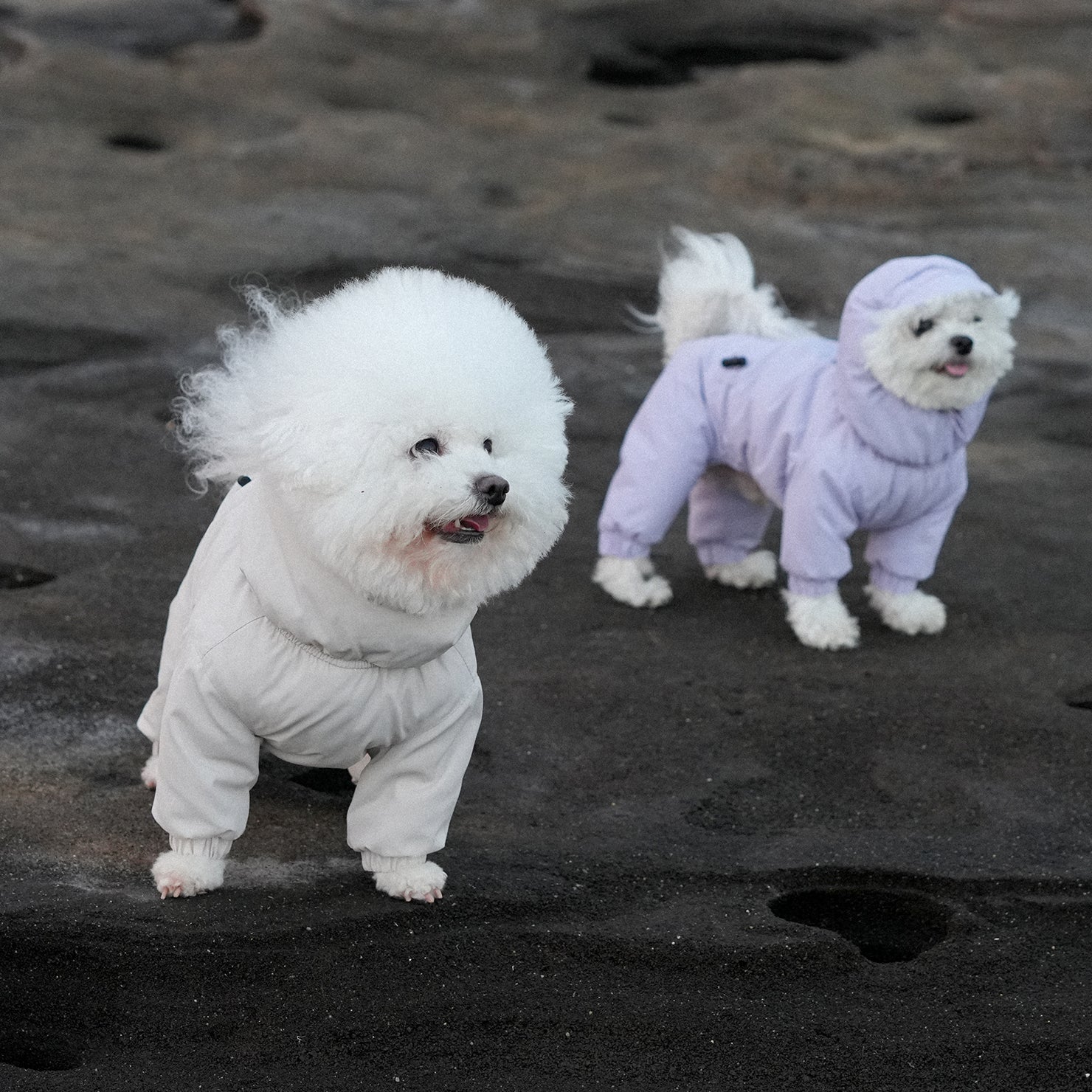 [SO-OW434] SSOOOK Identity Snow Coverall (All Cover, For Girl)