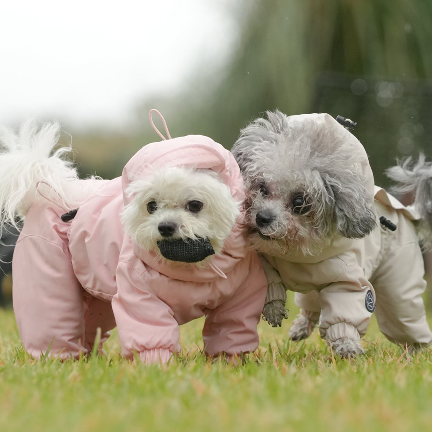 [SO-OW433] SSOOOK Identity Snow Coverall (Half Cover, For Unisex)