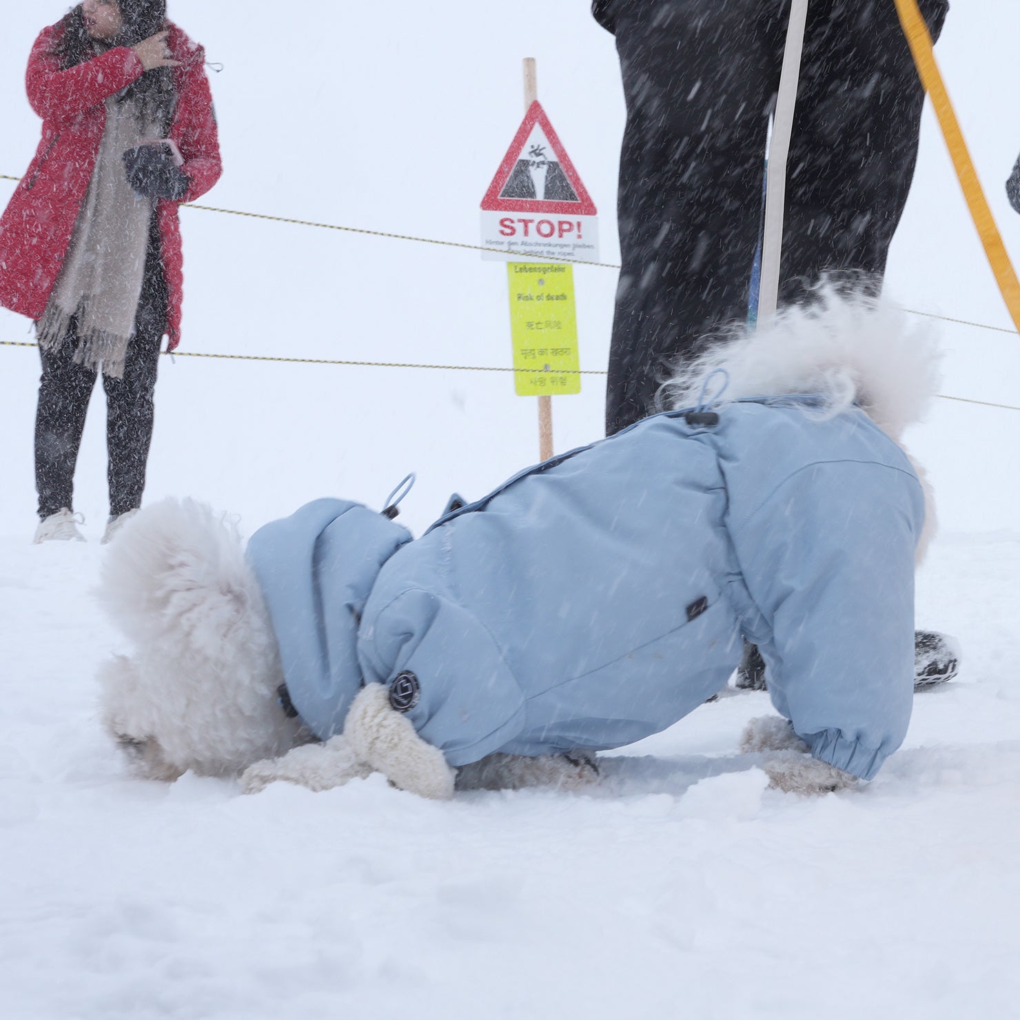 [SO-OW434] SSOOOK Identity Snow Coverall (All Cover, For Girl)