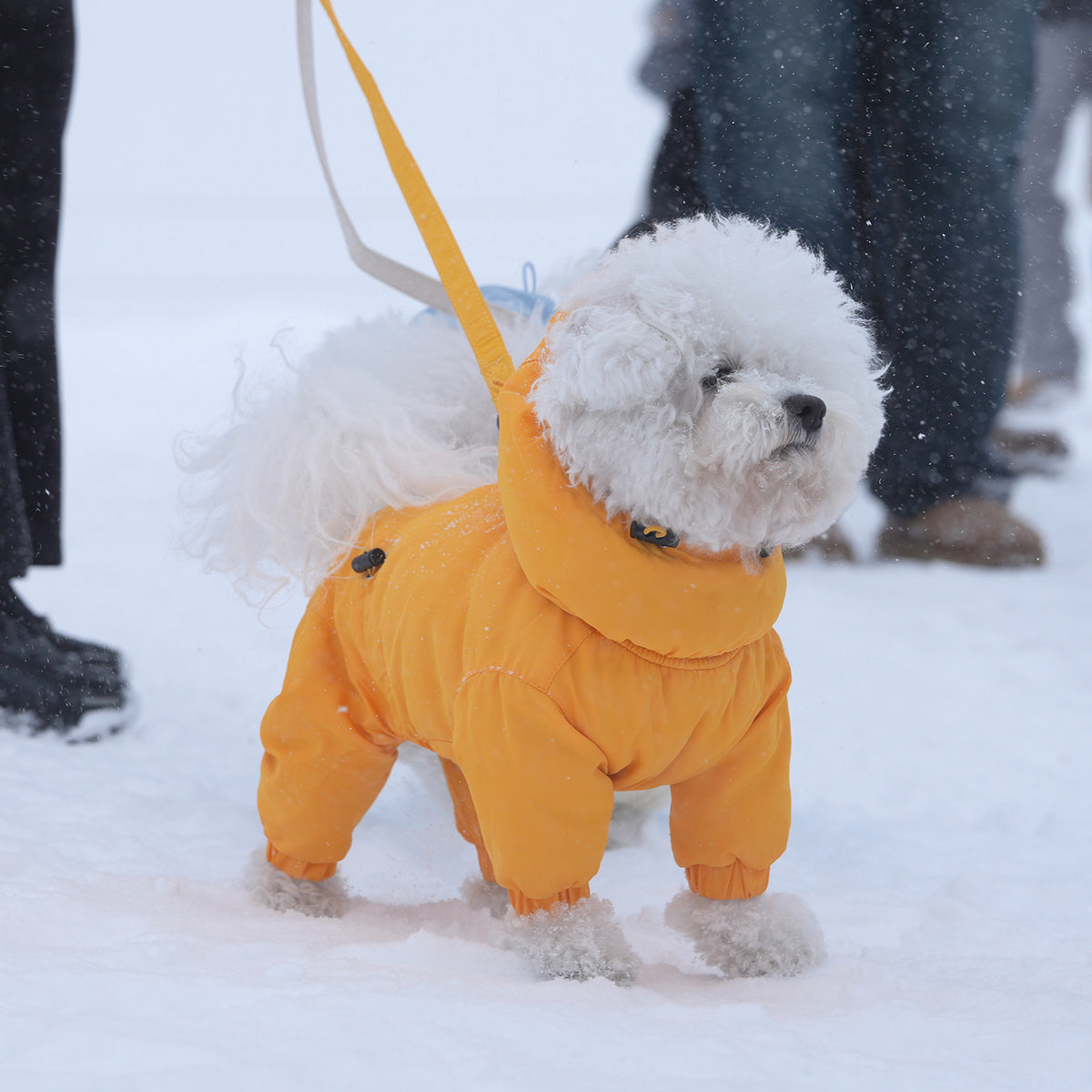 [SO-OW433] SSOOOK Identity Snow Coverall (Half Cover, For Unisex)