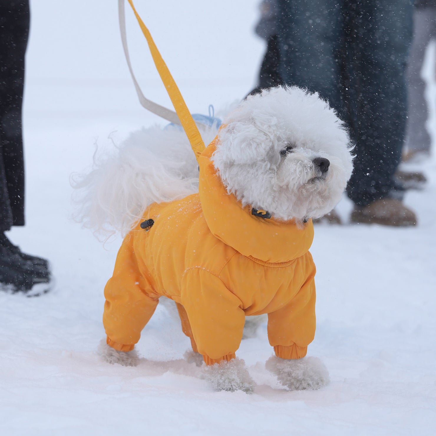 [SO-OW433] SSOOOK Identity Snow Coverall (Half Cover, For Unisex)