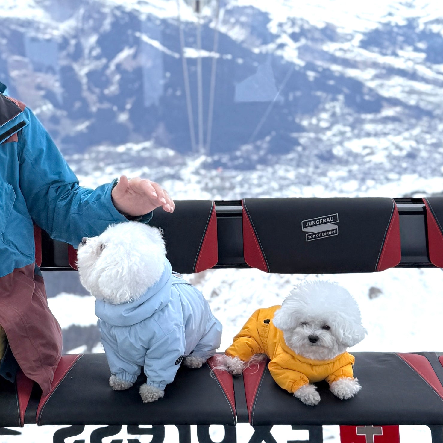 [SO-OW434] SSOOOK Identity Snow Coverall (All Cover, For Girl)