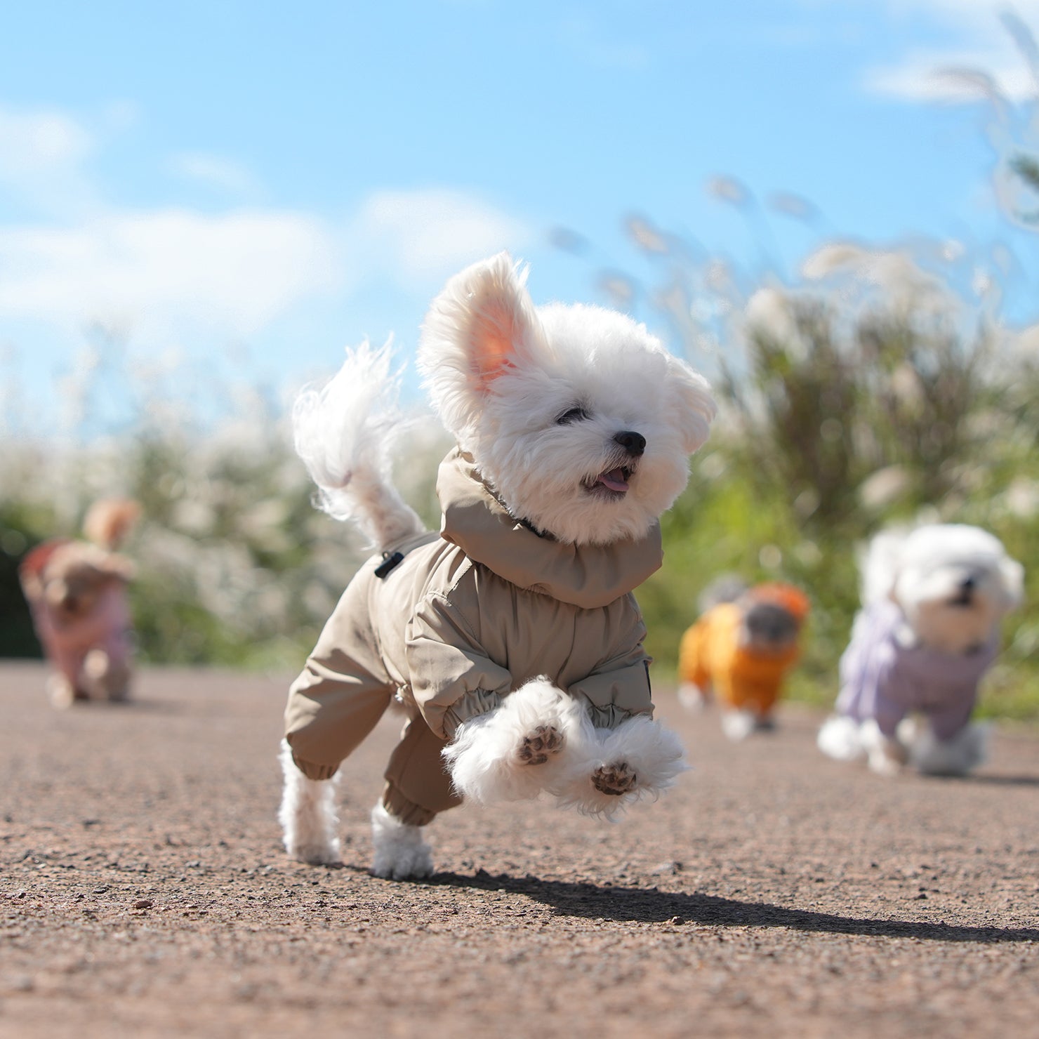 [SO-OW434] SSOOOK Identity Snow Coverall (All Cover, For Girl)