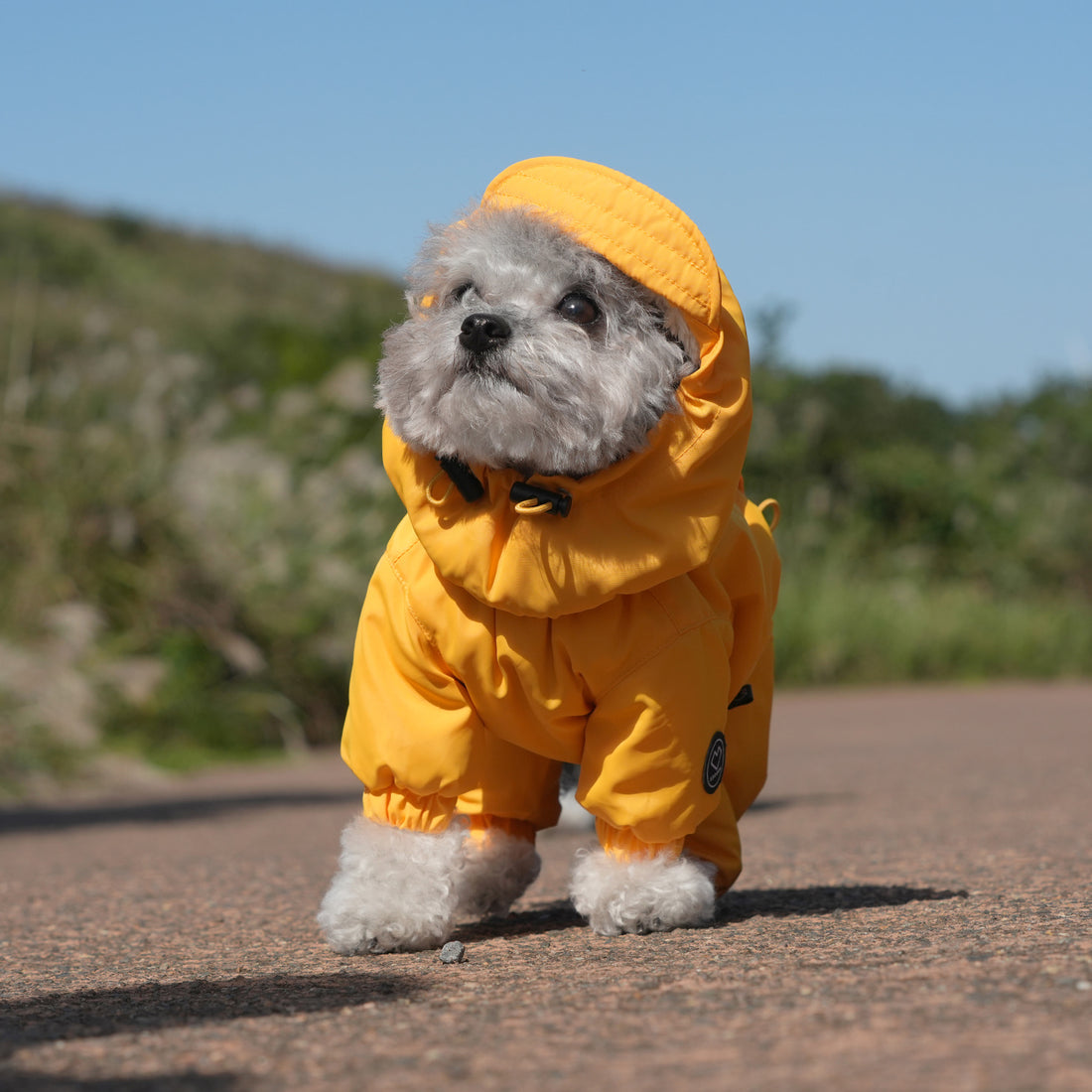 [SO-OW433] SSOOOK Identity Snow Coverall (Half Cover, For Unisex)