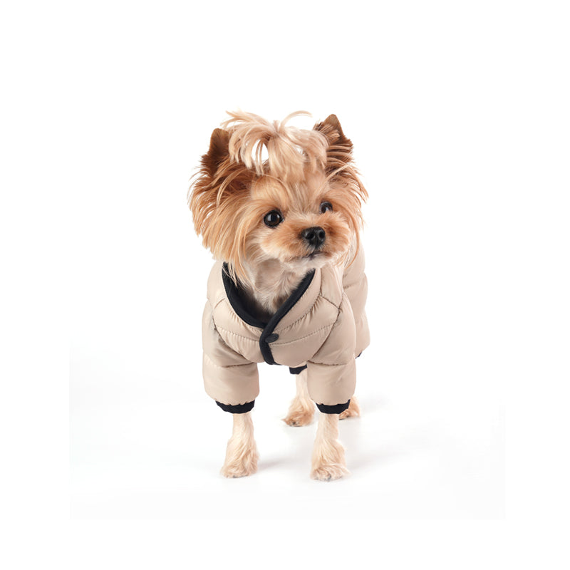 Puppy Angel AIR Series SSOOOK